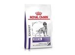 ROYAL CANIN Expert Dental Medium & Large Dogs 13 kg