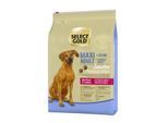 SELECT GOLD Sensitive Trockenfutter Hund Adult Maxi Pferd und Tapioka 4 kg