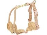 more LIFESTYLEPETS Tau-Geschirr beige M