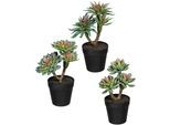 Kunstpflanze CREATIV GREEN "Sukkulenten", grün (grün, rosa), H:24cm, Kunststoff, Kunstpflanzen, Kunstpflanze, im 3er Set