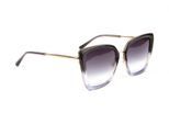 Ana Hickmann Sunglasses AH3291 C01 53