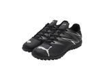 Puma Heren Attacanto Turf Trainings Voetbalschoenen (Pepermunt/Zwart)