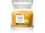 Yankee Candle Starfruit & Sunshine geurkaars Signature 110 g