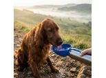 Dog Mate 800 ml Edelstahl-Wasserflasche (810)
