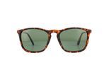 Montana Zonnebril MP34 B Bruin Turtle Rubbertouch G15 Groen Gepolariseerd