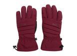 Dare 2B Dames/Dames Charisma III Logo Skihandschoenen (Afb.)
