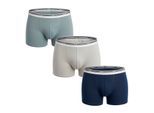 Pakket van 3 Heren Boxers Katoen Kleuren D306XP