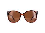 Montana MP74B glanzend tortoise bruin gepolariseerde zonnebril