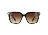 Ted Baker TB1676 Ramona 149 dubbele champagne demi bruin gradiÃ«nt zonnebril