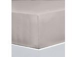 Bettlaken FLORELLA "EXCELLENT Jersey Elastan, 92% Baumwolle", beige (leinen), B:200cm L:220cm, Jersey, Obermaterial: 92% Baumwolle CO. 8% Elasthan EL., Bettlaken, Bettlaken