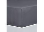 Bettlaken FLORELLA "EXCELLENT Jersey Elastan, 92% Baumwolle", grau (graphit), B:200cm L:220cm, Jersey, Obermaterial: 92% Baumwolle CO. 8% Elasthan EL., Bettlaken, Bettlaken