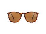 Montana Zonnebril MP34 C Bruin Turtle Rubbertouch Bruin Gepolariseerd