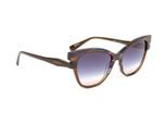 Ana Hickmann Sunglasses HI9227 P01 55