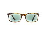 Montana zonnebril MR73AS Havana Green Readers +3,50