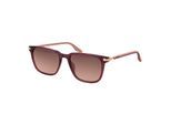 Converse Zonnebril CV543S 612 54 North End