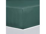 Bettlaken FLORELLA "EXCELLENT Jersey Elastan, 92% Baumwolle", grün (jaspis), B:100cm L:220cm, Jersey, Obermaterial: 92% Baumwolle CO. 8% Elasthan EL., Bettlaken, Bettlaken