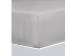 Bettlaken FLORELLA "EXCELLENT Jersey Elastan, 92% Baumwolle", silber (metallic), B:100cm L:220cm, Jersey, Obermaterial: 92% Baumwolle CO. 8% Elasthan EL., Bettlaken, Bettlaken
