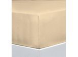 Bettlaken FLORELLA "EXCELLENT Jersey Elastan, 92% Baumwolle", beige (campagner), B:160cm L:220cm, Jersey, Obermaterial: 92% Baumwolle CO. 8% Elasthan EL., Bettlaken, Bettlaken