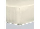 Bettlaken FLORELLA "EXCELLENT Jersey Elastan, 92% Baumwolle", beige (alabaster), B:200cm L:220cm, Jersey, Obermaterial: 92% Baumwolle CO. 8% Elasthan EL., Bettlaken, Bettlaken
