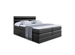 BOXSPRINGBETT CELESTIA KING - 160x200 - H3/H4 - Schwarz Hochglanz
