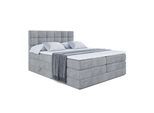 BOXSPRINGBETT APO KING - 200 x 200 - H3/H4 - Grau