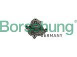 BORSEHUNG Wasserpumpe b12696 für VAG