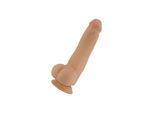 Draco, 23,3 cm