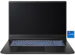 CAPTIVA Gaming-Notebook "Entry Gaming I10-1089GE", schwarz, 16 GB RAM 1.000 GB SSD, Core i7, ohne Betriebssystem, Notebooks, Gaming-Notebook