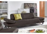 2-Sitzer W.SCHILLIG "taboo Designsofa mit hohem Sitzkomfort, Breite 202cm, Sitztiefe 69cm", braun (braun z59), B:202cm H:76cm T:101cm, Flachgewebe S22 (100% Polyester);Stoff S37 (100% Polyester): Luxus-Microfaser in Lederoptik;Longlife Xtra-Leder Z59: Glattleder mit modischer Prägung. Hautstärke 0, 9 - 1, 1 mm;Longlife Xtra-Leder Z69: Das feinnarbige, gedeckte Softleder Z69 besticht durch seine au
