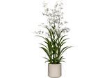 Kunstorchidee CREATIV GREEN "Orchidee Oncydie", weiß, H:98cm, Kunststoff, Kunstpflanzen, Kunstorchidee, im eleganten Topf