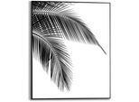 Poster REINDERS "Palmen Blatt", schwarz (farbe bild(er): schwarz, weiß), B:40cm H:50cm T:1,6cm, MDF, Bilder, Poster