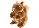 Kuscheltier HEUNEC "Misanimo, Eichhörnchen, 20 cm", rot (rotbraun), Plüschfiguren, KinderH:20cm, Polyester, Kuscheltier, H:20cm