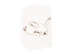 Bild KOMAR "Sleepy Bunny", schwarz (farbe bild(er): schwarz, weiß), B:30cm H:40cm, Holz, Papier, Bilder, Bild, Wandbild zur Dekoration - ohne Rahmen