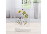 Fotohalter HAMA "Fotohalter Acryl, 10 x 15 cm, zum Aufstellen", transparent, Bilderrahmen, Kinder, 10x15, Acryl, Fotohalter