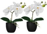 Kunstorchidee CREATIV GREEN "Orchidee Phalaenopsis", weiß, H:23cm, Kunststoff, Kunstpflanzen, Kunstorchidee, mit naturgetreuen Blüten