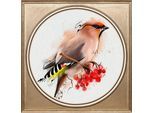 Acrylglasbild QUEENCE "Bunter Vogel II", bunt (farbe bild(er): bunt), B:40cm H:40cm T:3cm Ø:56,57cm, Bilder, Acrylglasbild, Fine Art-Print in Galeriequalität