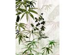 Bild KOMAR "Bamboo Forest", grün (farbe bild(er): grün, weiß), B:40cm H:50cm, Holz, Papier, Bilder, Bild, Wandbild zur Dekoration - ohne Rahmen