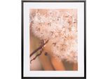 Bild mit Rahmen CREATIV HOME "Pusteblume", beige (farbe rahmen: schwarz, farbe bild(er): natur), B:40cm H:50cm T:2,5cm, Papier, Bilder, Bild mit Rahmen, auf Canvas-Leinwand