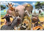 Poster REINDERS "Lustige Wildtiere", bunt (farbe bild(er): mehrfarbig), B:91,5cm H:61cm, Papier, Bilder, Poster