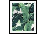 Bild QUEENCE "Blätter", bunt (farbe rahmen: schwarz, farbe bild(er): bunt), B:30cm H:40cm T:3cm, Acrylglas, Holz, Papier, Bilder, Bild, HD Premium Poster-Druck inkl. Holzrahmen