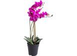 Kunstorchidee BOTANIC-HAUS "Orchidee Bora", pink (fuchsia), B:35cm H:60cm T:35cm Ø:35cm, Kunststoff, Kunstpflanzen, Kunstorchidee