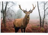 Poster REINDERS "Hirsch im Wald", braun (farbe bild(er): braun), B:91,5cm H:61cm, Papier, Bilder, Poster