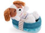 Kuscheltier NICI "Sleeping Pets, Welpe Cockerspaniel, 12 cm", blau (weiß, braun, blau), Plüschfiguren, KinderB:10cm H:8cm L:14cm, Polyester, Kuscheltier, im Körbchen, B:10cm H:8cm L:14cm