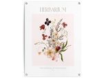 Poster REINDERS "Herbarium", bunt (farbe bild(er): mehrfarbig), B:60cm H:80cm T:0,1cm, Bilder, Poster, Garten - Mehrfarbig - Leinwand - Blumen und Pflanzen - 60x80 cm