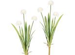 Kunstblume OTTO HOME "Vivian", weiß, H:60cm, Kunststoff, Kunstpflanzen, Kunstblume, 2er Set