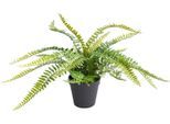 Künstliche Zimmerpflanze BOTANIC-HAUS "Farn mit 18 Blättern", grün, B:47cm H:28cm T:47cm Ø:47cm, Kunststoff, Kunstpflanzen, Künstliche Zimmerpflanze