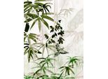 Bild KOMAR "Bamboo Forest", grün (farbe bild(er): grün, weiß), B:30cm H:40cm, Holz, Papier, Bilder, Bild, Wandbild zur Dekoration - ohne Rahmen
