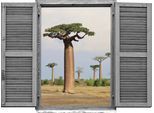 Wandtattoo QUEENCE "Afrikanische Baüme", bunt, B:80cm H:60cm T:0,1cm, Wandtattoos, Wandtattoo, Wandsticker, Wandbild, selbstklebend, 3D, Fenster