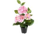 Kunstblume I.GE.A. "Hortensien", rosa, B:35cm H:50cm L:35cm, Polyester, Kunstpflanzen, Kunstblume, Künstliche Hortensie im Topf Blume Hortensienbusch künstlich Pflanze