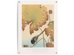 Poster REINDERS "Bachstelze auf Lotuspflanze", braun (farbe bild(er): braun), B:60cm H:80cm T:0,1cm, Leinwand, Bilder, Poster